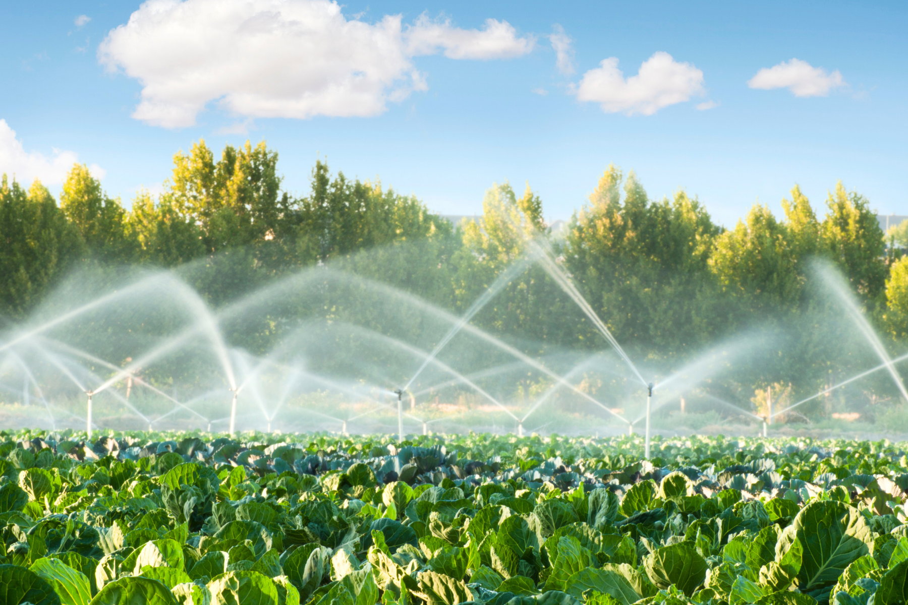 optimized irrigation systen Farmland with active irrigation system, illustrating SBA 504 loan support for agricultural businesses and green infrastructure.