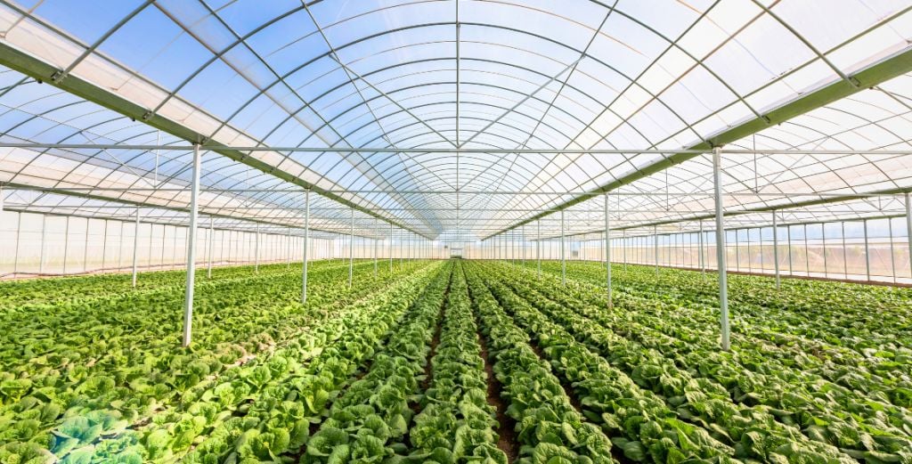 No. 100 AgSci Agriculture